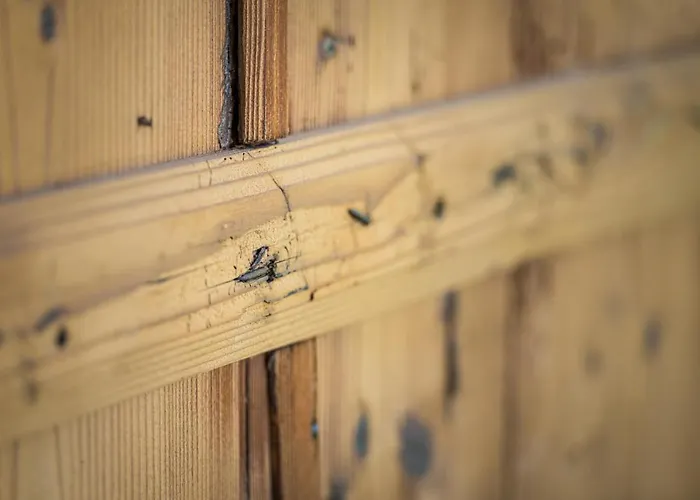 Wichtelhuette Silberregion Karwendel Casa vacanze